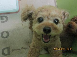 ファイル 4802-2.jpg