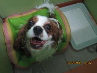 ファイル 4803-1.jpg