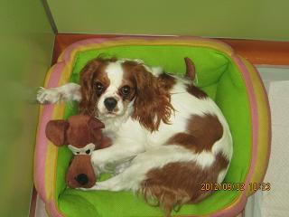 ファイル 4803-2.jpg