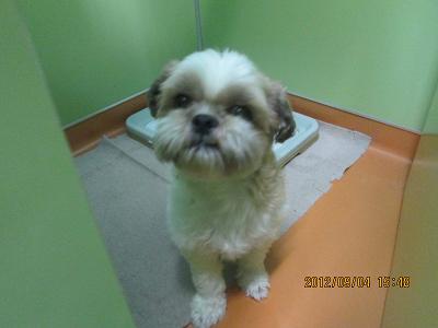 ファイル 4804-1.jpg