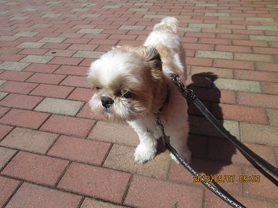 ファイル 4804-2.jpg