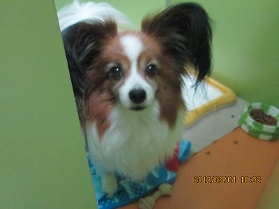 ファイル 4805-1.jpg