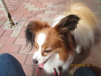 ファイル 4805-2.jpg