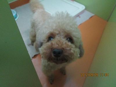 ファイル 4807-1.jpg