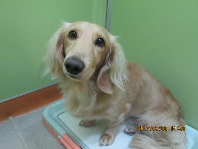 ファイル 4808-1.jpg