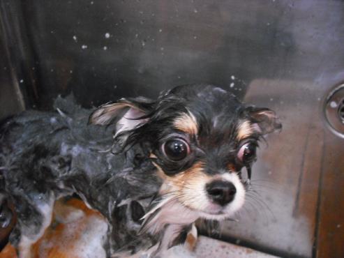 ファイル 481-2.jpg