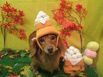 ファイル 4811-2.jpg