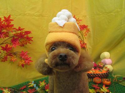 ファイル 4816-1.jpg