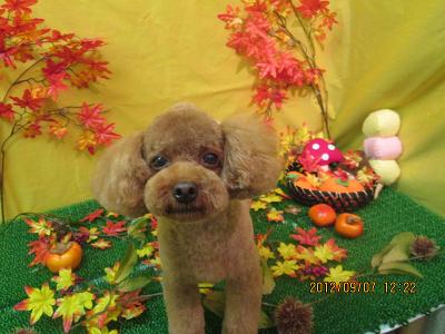 ファイル 4816-2.jpg