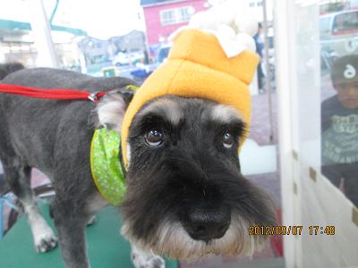 ファイル 4817-2.jpg