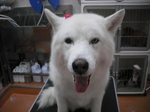 ファイル 482-1.jpg