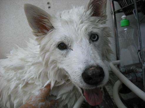 ファイル 482-2.jpg