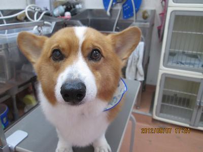 ファイル 4820-2.jpg