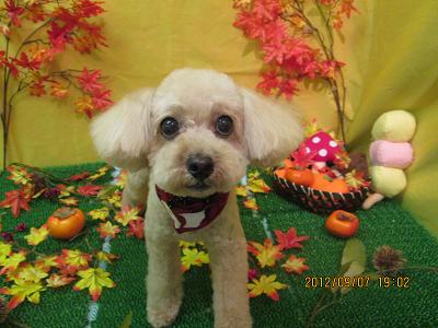 ファイル 4822-2.jpg