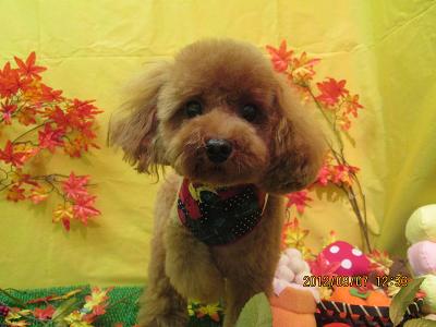 ファイル 4823-2.jpg