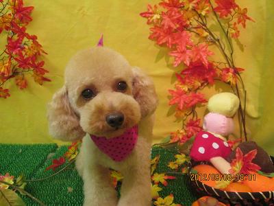 ファイル 4825-2.jpg