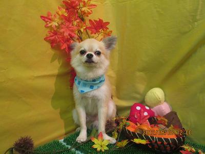 ファイル 4829-2.jpg