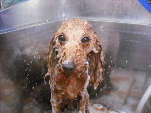 ファイル 483-2.jpg