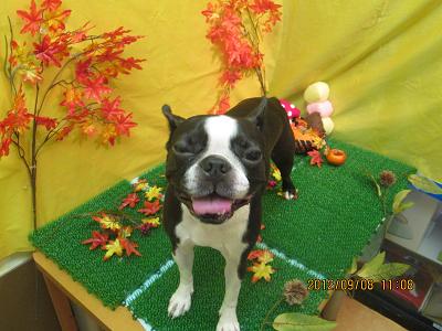 ファイル 4830-2.jpg