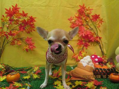 ファイル 4834-2.jpg