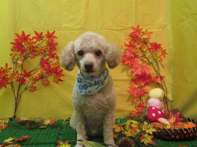 ファイル 4835-2.jpg