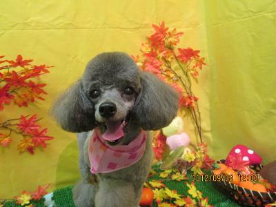 ファイル 4836-2.jpg