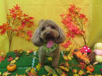 ファイル 4837-2.jpg