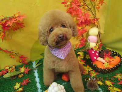 ファイル 4838-2.jpg