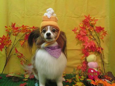 ファイル 4840-1.jpg