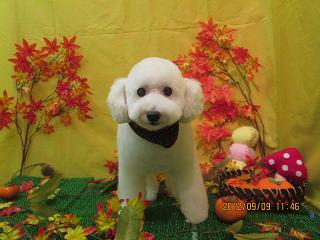 ファイル 4843-2.jpg