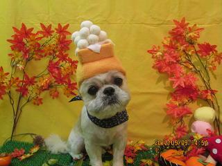 ファイル 4844-1.jpg