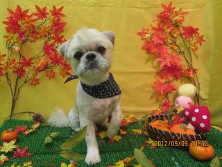 ファイル 4844-2.jpg