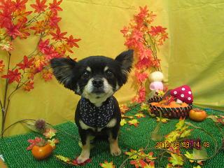 ファイル 4845-2.jpg