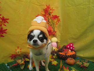 ファイル 4846-1.jpg