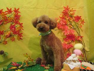 ファイル 4849-2.jpg