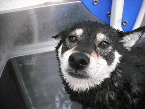 ファイル 485-2.jpg