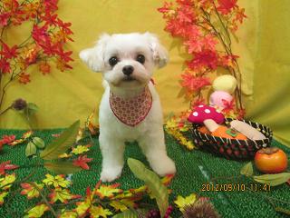 ファイル 4853-2.jpg