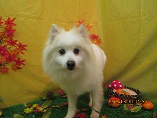 ファイル 4854-2.jpg