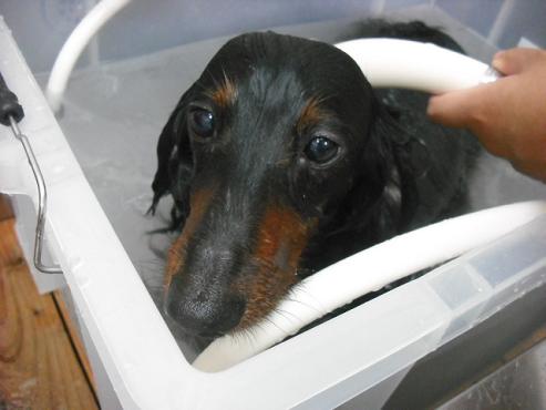 ファイル 486-2.jpg