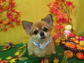 ファイル 4862-1.jpg