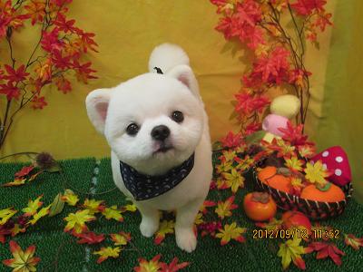 ファイル 4863-2.jpg