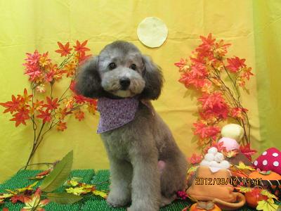 ファイル 4864-1.jpg