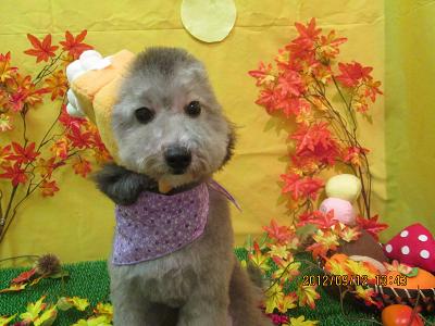 ファイル 4864-2.jpg