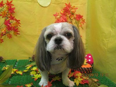 ファイル 4866-2.jpg