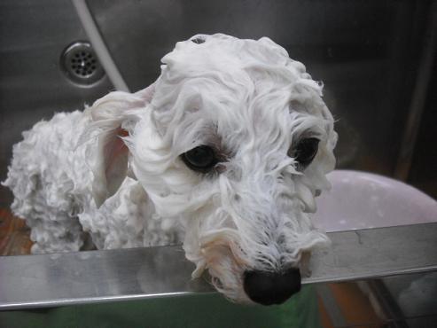 ファイル 487-2.jpg