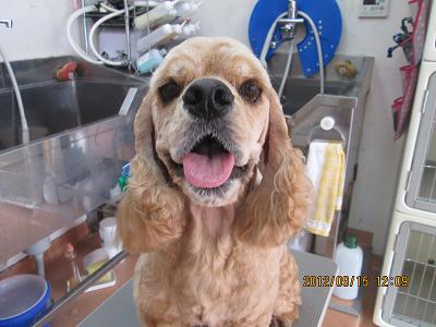 ファイル 4879-2.jpg