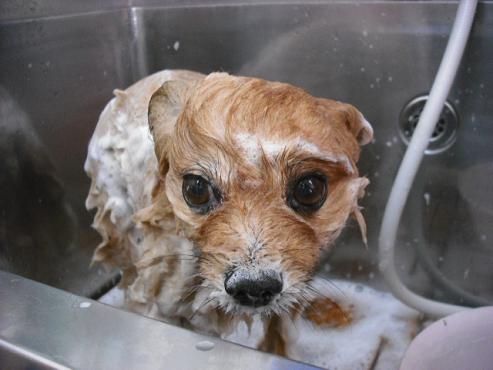 ファイル 488-2.jpg