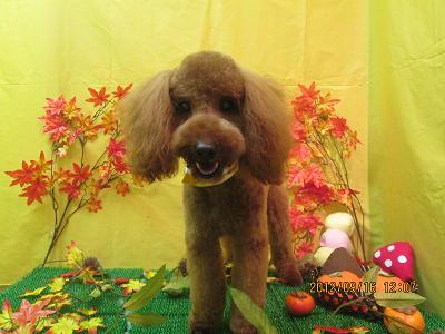 ファイル 4888-2.jpg