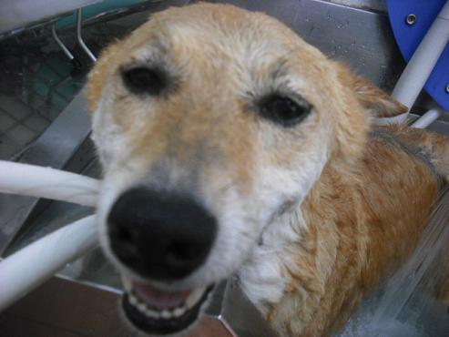 ファイル 489-2.jpg