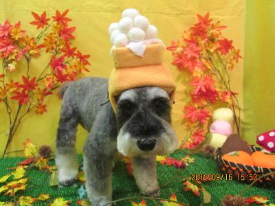 ファイル 4890-2.jpg